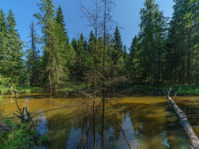 Валдайский национальный парк