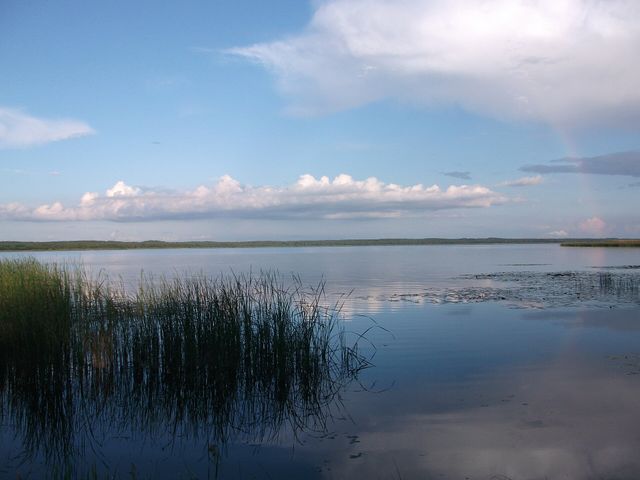Лисно