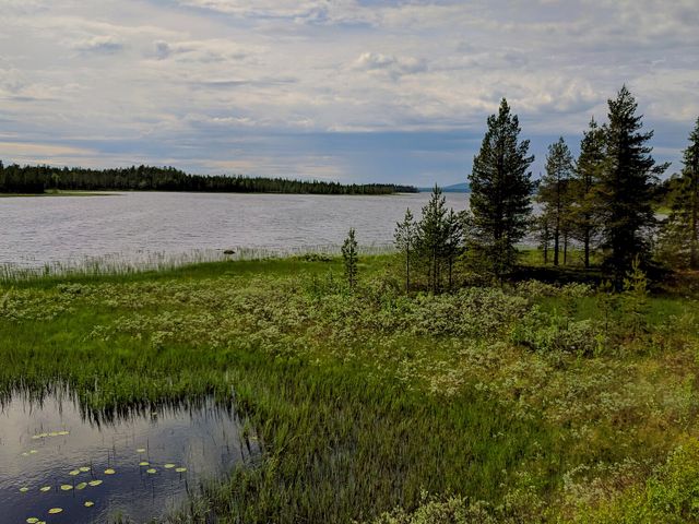 Storavan