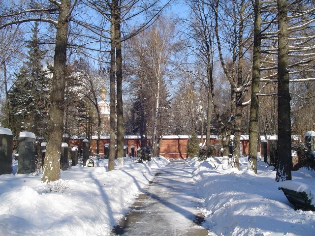 Новодевичье кладбище