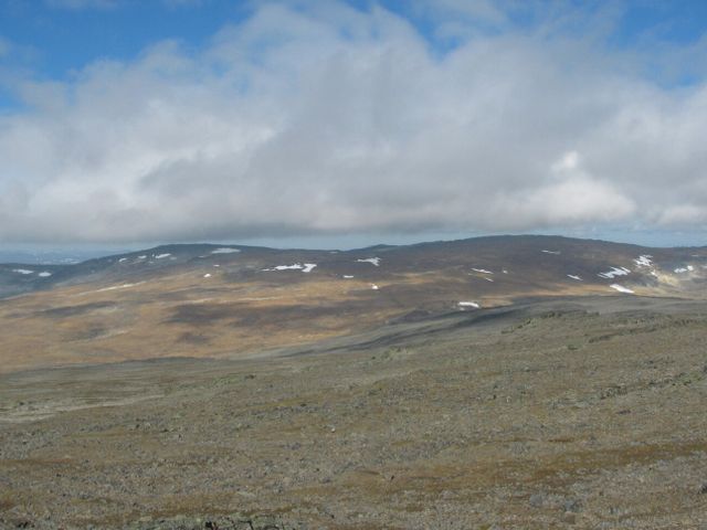 Халтиа
