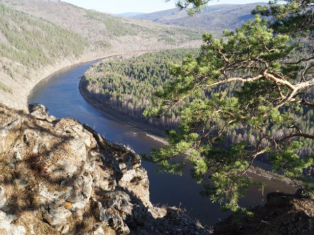 Чикой