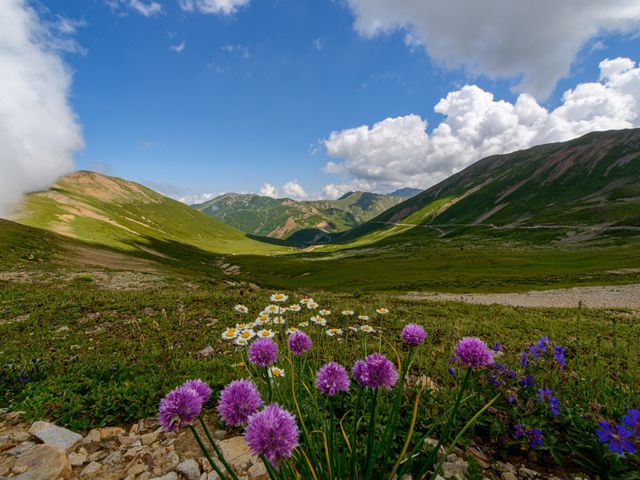 Camili Biosphere Reserve