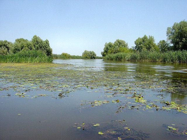 Астраханский заповедник
