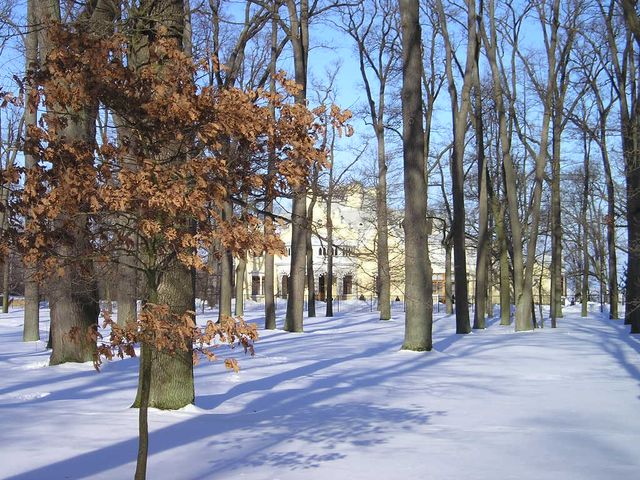 Парк Александрия