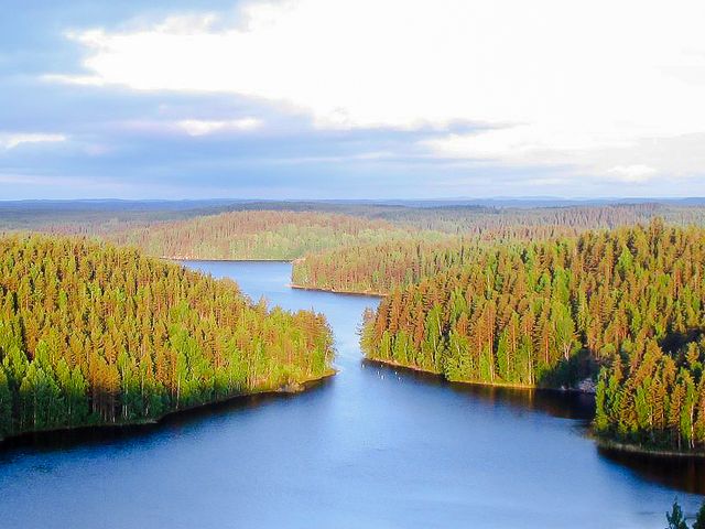 Реповеси