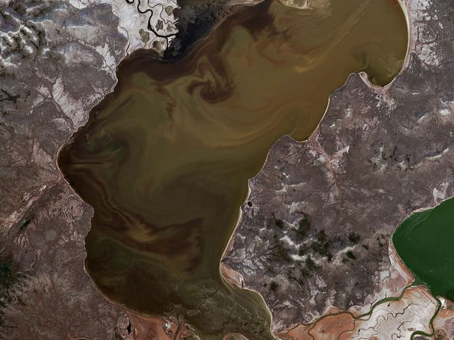 Орель