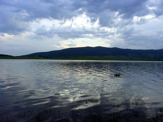 Базалети