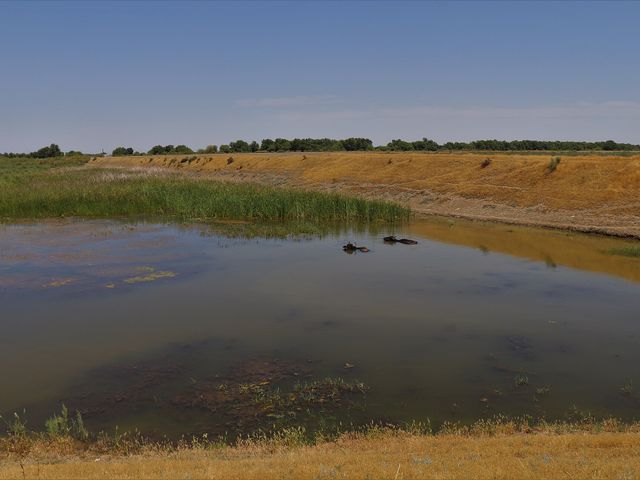 Сарысу