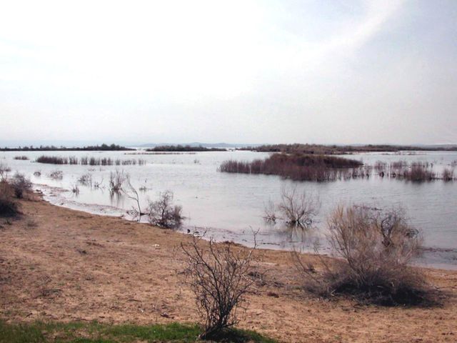 Айдаркуль