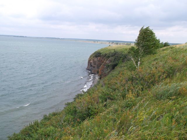Касарги