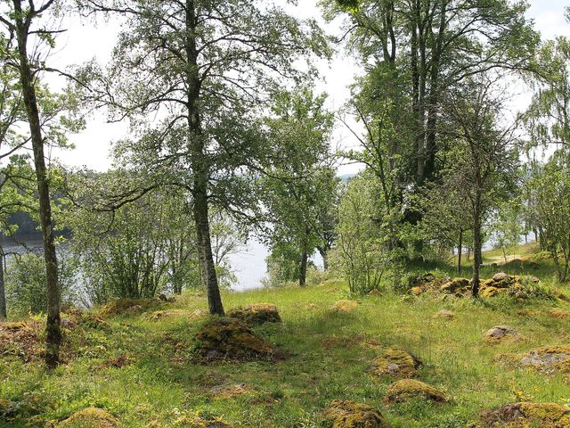 Högakull