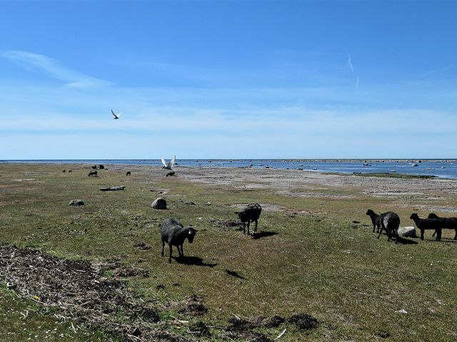 Ottenby