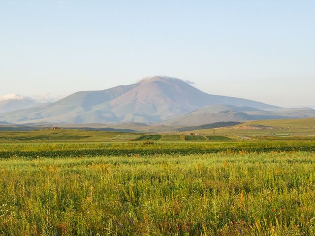 Диди Абули