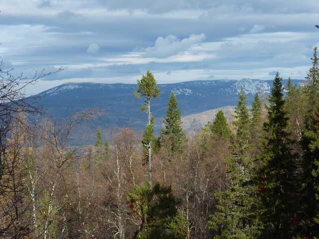 Южно-Уральский заповедник