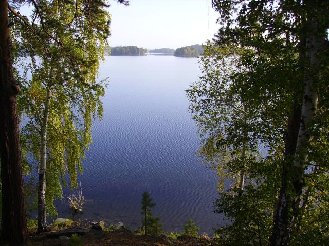 Увильды