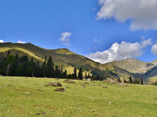 Ауадхара