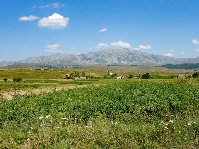 Самсари