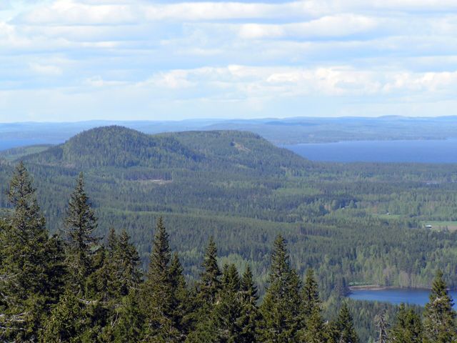 Коли