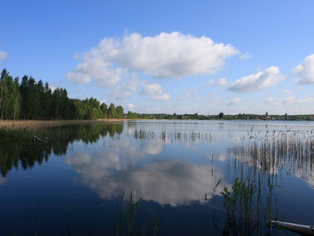 Белое озеро (Рязанская область, северное)