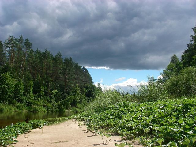 Большая Кокшага