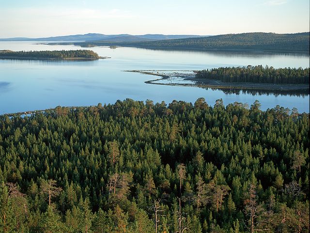 Кандалакшский заповедник