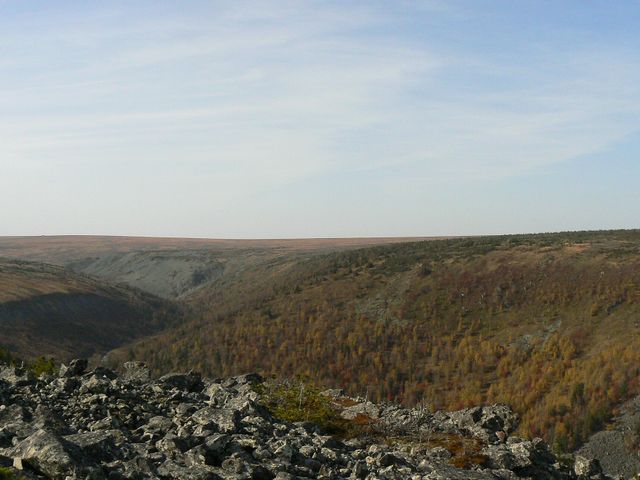 Кваркуш