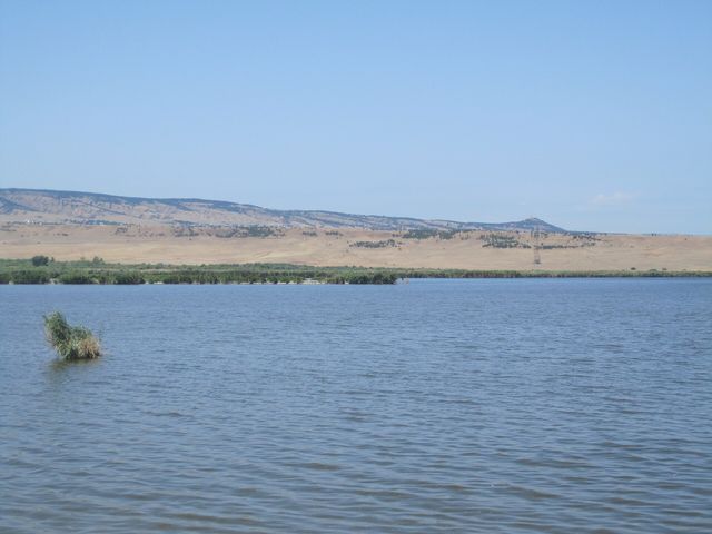 Кумиси