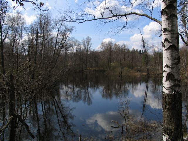 Мещёра (национальный парк)