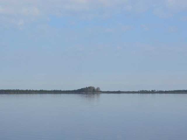 Питель