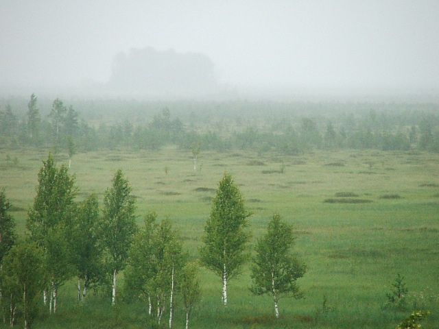 Полистовский заповедник