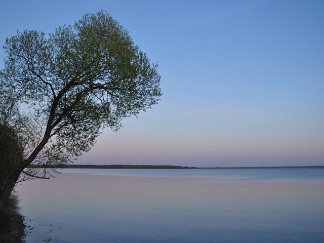 Сиг