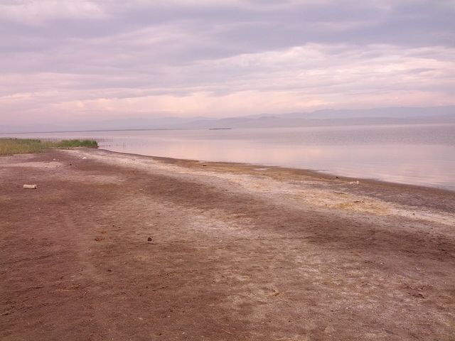Хадын