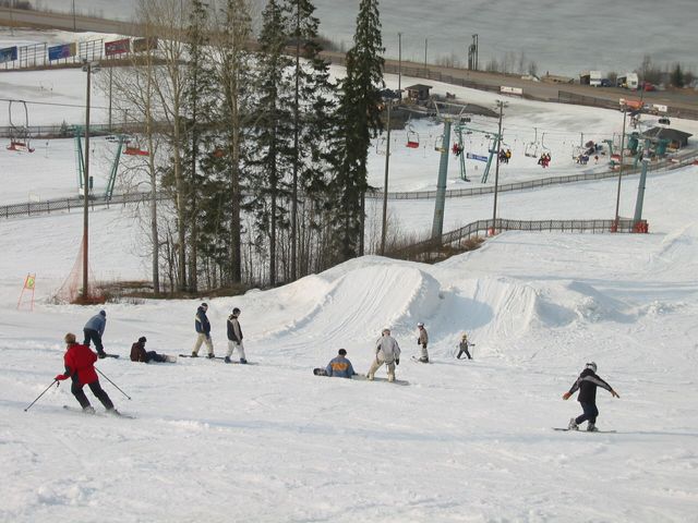Химос