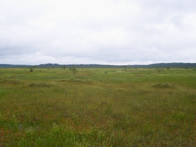 Центрально-Лесной заповедник
