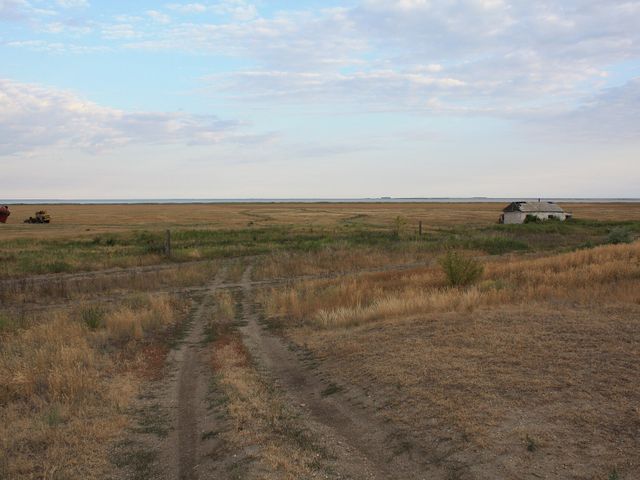 Шалкар-Ега-Кара