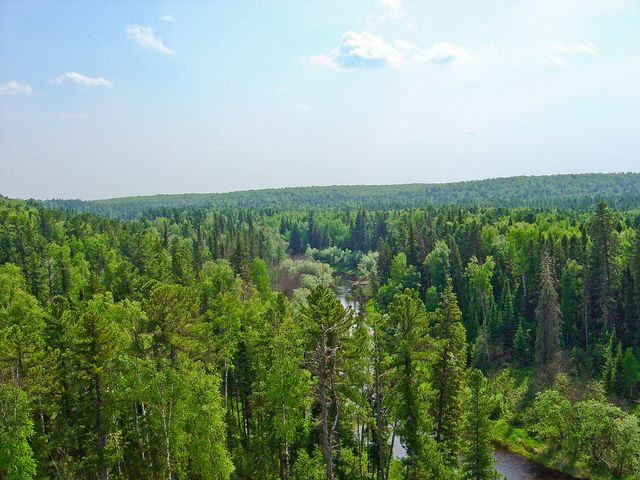 Юганский заповедник