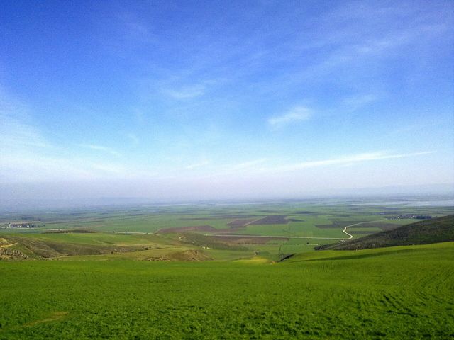 Амук