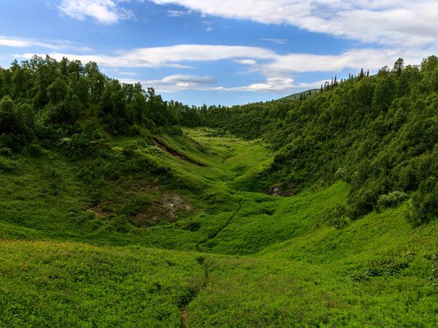 Bjurälven
