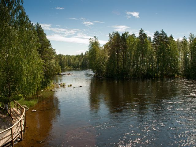 Niinivesi