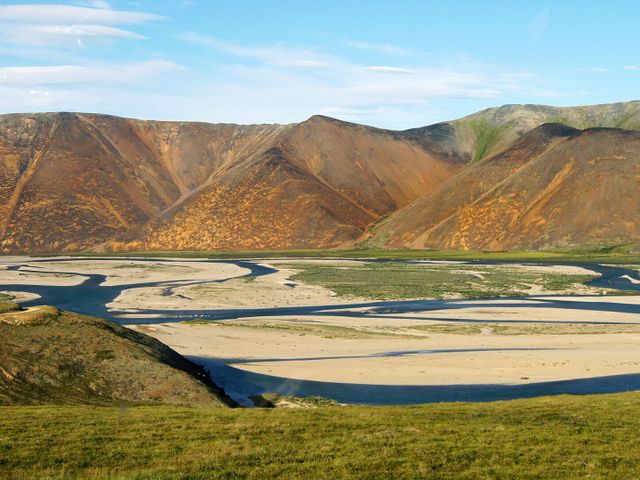 Паляваам
