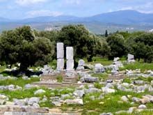 Храм Диониса (Теос)