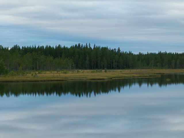 Хамра