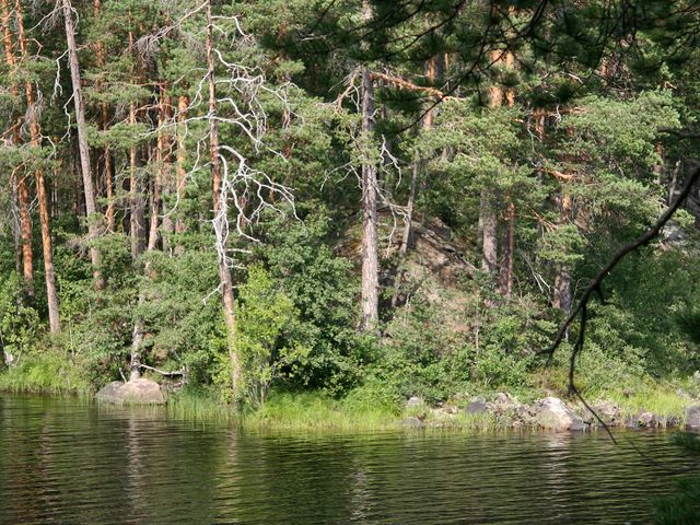 Северо-Карельский биосферный заповедник