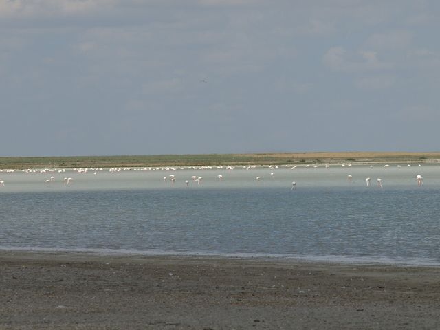 Lake Seyfe
