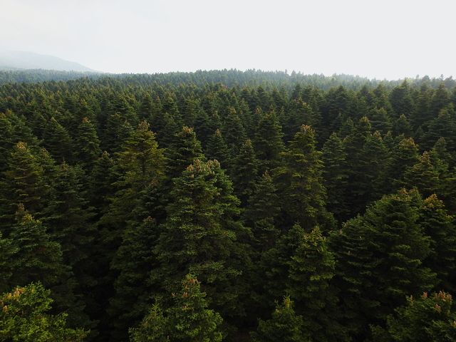 Uludağ National Park