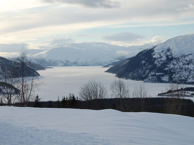 Langvatnet
