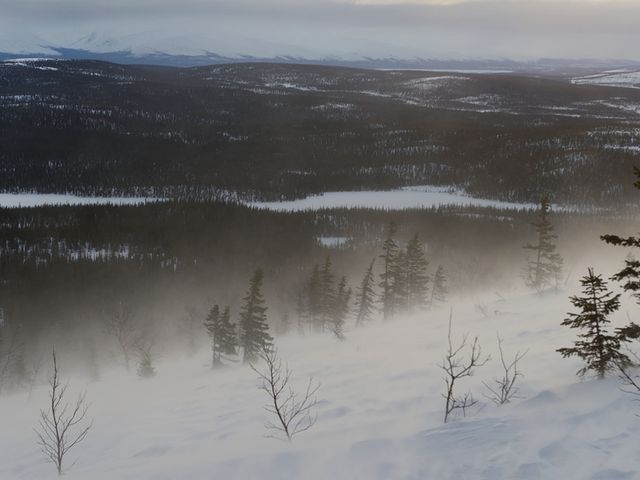 Лапландский заповедник