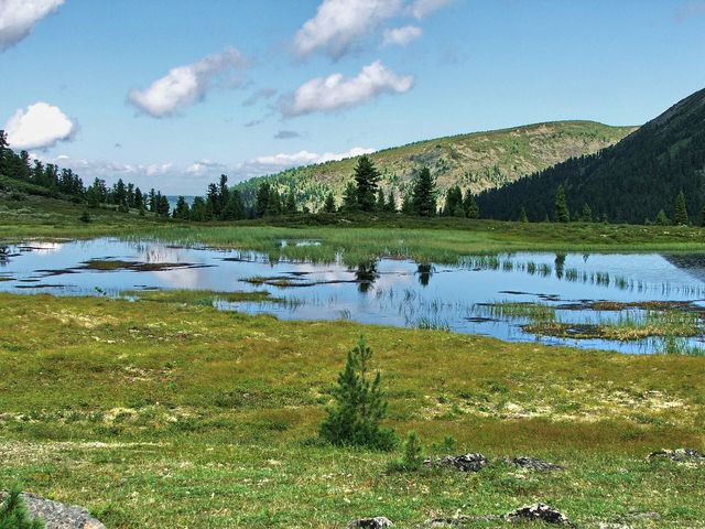 Байкальский заповедник
