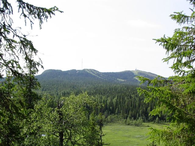 Рука